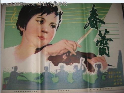 爱许兰大学公共管理文凭证书